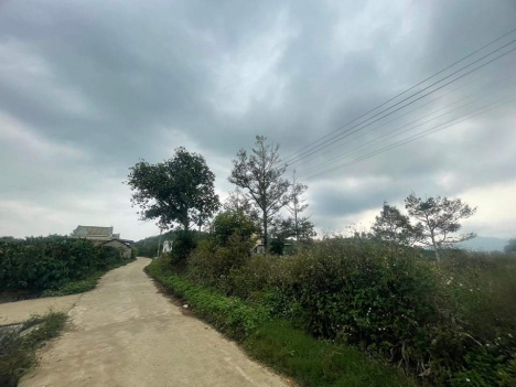 Bán lô đất hèm Ngô Tất Tố, 13x60 có 200m2 thổ cư,4,7 tỷ ,Bảo Lộc