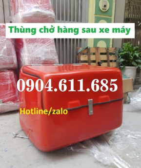 thùng chở hàng sau xe máy đem đến sự gọn nhẹ, chuyên nghiệp