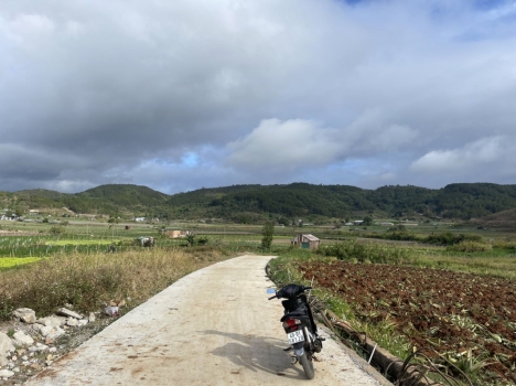 Bán Đất TT Liên Nghĩa 1,6 tỷ 5x30m Diện Tích 150,6m2 TC 75,3m