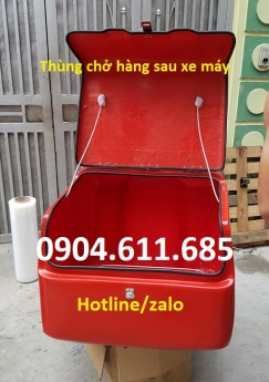 thùng chở hàng sau xe máy đem đến sự gọn nhẹ, chuyên nghiệp