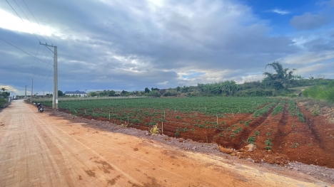 Bán đất 2,35 Tỷ view sông 16x64m DT 1000m2 Đạ Ròn - Đơn Dương - Lâm Đồng (Đất Nghỉ Dưỡng)