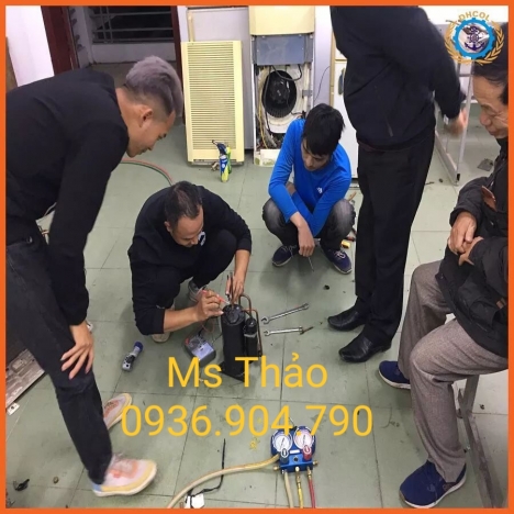 ĐÀO TẠO CÁC NGÀNH