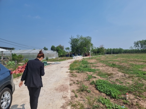 Cần bán gấp lô đất ngay KCN Tân Quân, SHR, 350 triệu, 100m2 thổ cư