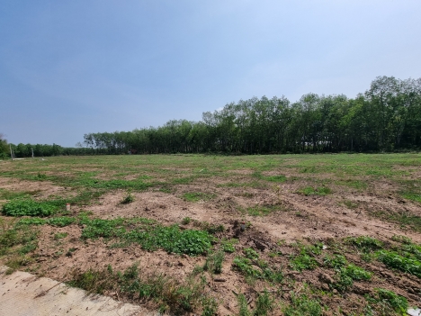Cần bán gấp lô đất ngay KCN Tân Quân, SHR, 350 triệu, 100m2 thổ cư