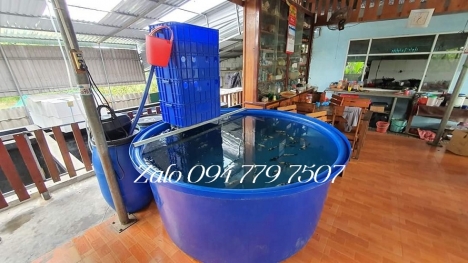 Bán thùng nhựa tròn 1000l nuôi cá ship hàng toàn quốc. 094 779 7507