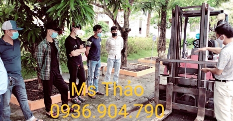 ĐÀO TẠO CÁC NGÀNH