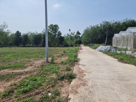 Cần bán gấp lô đất ngay KCN Tân Quân, SHR, 350 triệu, 100m2 thổ cư