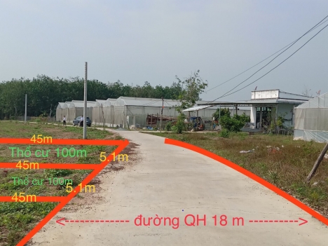 Cần bán gấp lô đất ngay KCN Tân Quân, SHR, 350 triệu, 100m2 thổ cư