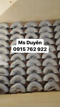 Phụ kiệm đường ống mặt bích,cút, tê