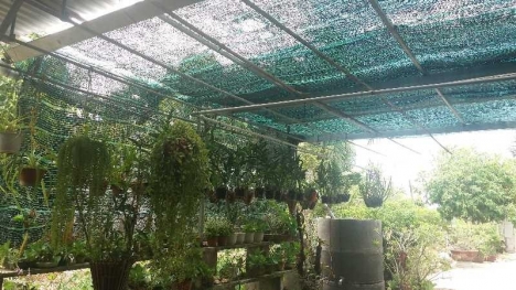 Đặc tính của lưới che nắng thái lan, công dụng của lưới cắt nắng, quy cách của lưới che nắng