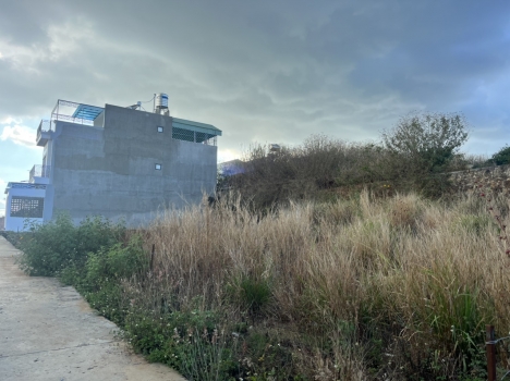 Bán Đất Đường Cao Bá Quát 1,5 Tỷ 5x20m Thổ cư 72m gần Sân Bay Liên Khương TT Liên Nghĩa