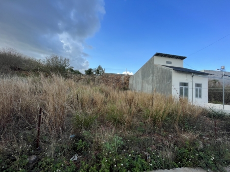 Bán Đất Đường Cao Bá Quát 1,5 Tỷ 5x20m Thổ cư 72m gần Sân Bay Liên Khương TT Liên Nghĩa