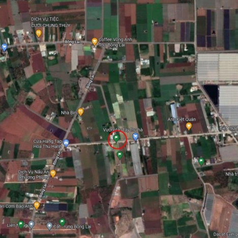 Bán Đất Đạ Ròn 1,78 tỷ 2 mặt tiền 10x31m DT 307m2 TC 200m gần vườn dâu Thu Hà