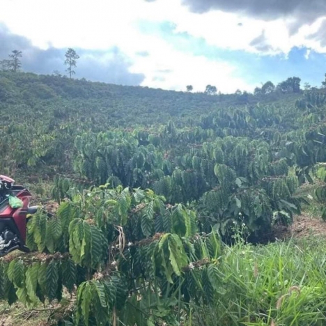 Bán Đất 580tr/ Sào 3 Mặt Tiền Đường Thôn Đoàn Kết  Diện Tích 12443m2 Thổ cư 400m2