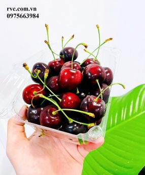 Phân phối và cung cấp hộp nhựa P500D giá sỉ tại Bình Thạnh