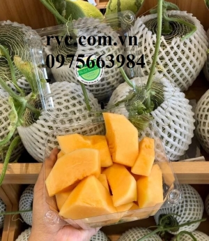 Phân phối và cung cấp hộp nhựa P500D giá sỉ tại Bình Thạnh