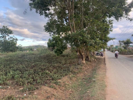 Bán Đất Mặt Tiền Kambutte 5 Tỷ 30x50m DT 1570m2 Thổ Cư 300m Tu Tra