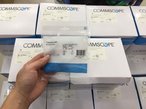 Nhân mạng  CM Cat5 Cat6 AMP / Commscope sỉ số lượng