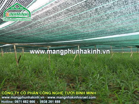 Lưới che nắng,lưới che nắng thái lan,lưới che nắng nhập khẩu thái lan,bán lưới che nắng thai lan