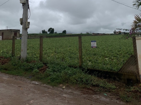 Bán Đất Đạ Ròn 2,1 Tỷ 2 mặt tiền 26x14m DT 377m2 TC 150m2 Đạ Ròn - Đơn Dương