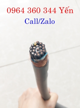 Dây cáp điều khiển, tín hiệu Altek Kabel RVVP 20x0.5