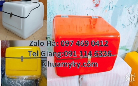 Thùng giao cơm, Thùng ship hàng nhanh, Giá thùng nhựa giao hàng Thùng giữ nhiệt xe máy, Thùng giao