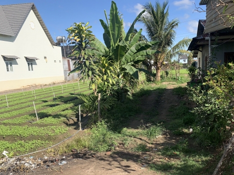 Bán Đất Phú Hội 1,3 Tỷ 5x57m DT 250m2 Thổ Cư 100m Phú Hội - Đức Trọng - Lâm Đồng (Đất Ven Đà Lạt)