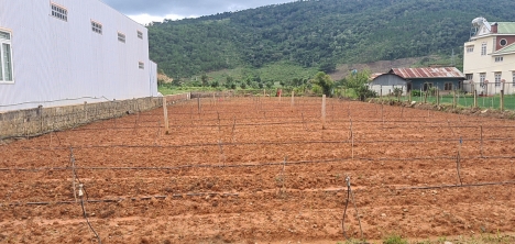 Bán đất trung tâm Hiệp an 6x50 - 100m2 thổ cư - Đức trọng