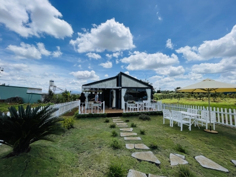 Siêu phẩm đất nền biệt thự sân vườn Bảo Lộc, Lâm Đồng chỉ hơn 800tr 1 nền, 100% không vay không góp