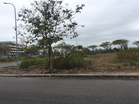 Duy nhất 1 lô 144m2 sạch đẹp giá tốt nhất thị trường