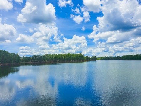 Siêu phẩm đất nền biệt thự sân vườn Bảo Lộc, Lâm Đồng chỉ hơn 800tr 1 nền, 100% không vay không góp