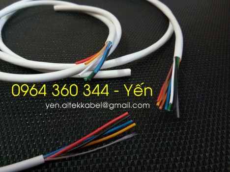 Cáp tín hiệu âm thanh chống nhiễu 4x0.22mm