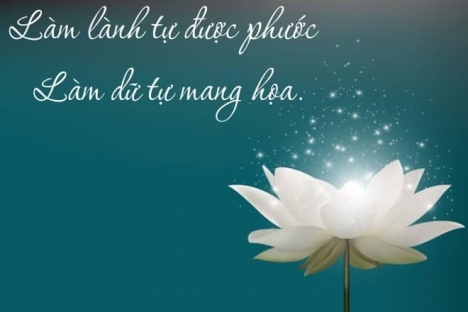 Còn 3 lô đât trung tâm hải châu . Vi  tri đẹp.