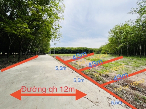 Bung 33 lô đất thổ cư, SHR, gần KCN Tân Quan, vị trí đẹp, 400tr/ nền, giá rẻ, Hớn Quản