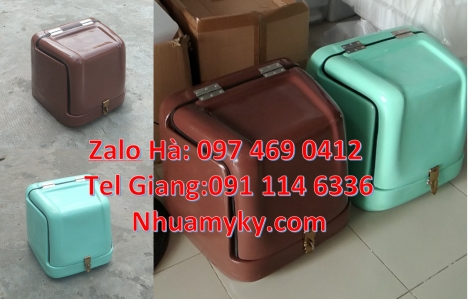 thùng giao hàng, thùng giao hàng cỡ nhỏ, Thùng ship hàng, thùng chở bánh bao, Thùng giao hàng 62x52x