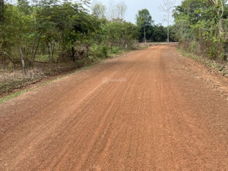 BÁN ĐẤT CHÍNH CHỦ - SỔ SẴN CÓ TÊN ĐƯỜNG - ĐƯỜNG Ô TÔ - 6 SÀO (1050M2) LỘC NINH, BÌNH PHƯỚC