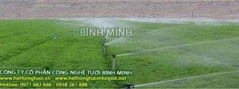 Tưới phun mưa,hệ thống tưới phun mưa,béc tưới phun mưa,vòi phun tưới cây ăn quả,béc tưới rau