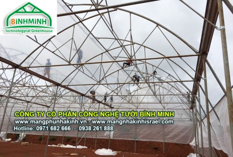 Cung cấp dây chống bão dùng cho nhà màng nhà lưới, vật tư nhà màng nhà lưới