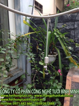 Tưới phun sương,vòi tưới phun sương,vòi phun sương tưới lan,hệ thống tưới phun sương cho rau