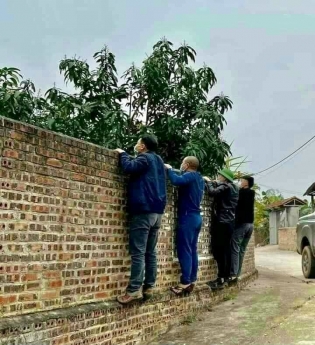 Bán đất Đông Dư, Gia Lâm đẹp long lanh diện tích 60m2, mặt tiền 3,9m giá 3,25 tỷ.