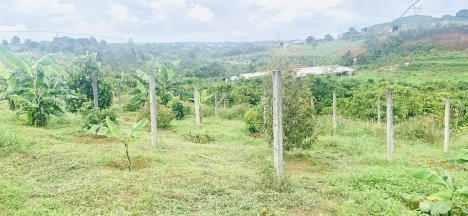 Bán lô đất 7 sào Lê Phụng Hiều nối dài, Bảo Lộc, Lâm Đồng