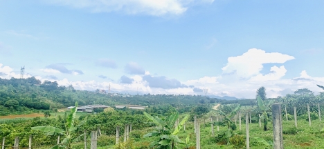 Bán lô đất 7 sào Lê Phụng Hiều nối dài, Bảo Lộc, Lâm Đồng