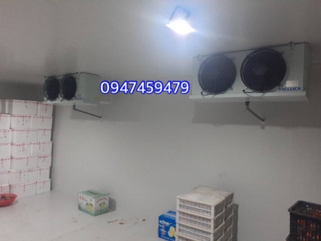 lắp đặt hoàn thiện kho lạnh bảo quản trái cây tại Bến Tre