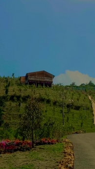 Bán lô đất Thôn 9, Đại Lào, 32x46 sẵn 400m2 thổ cư, Bảo Lộc,Lâm Đồng