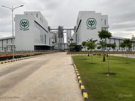 Hụt vốn kinh doanh - Cần bán gấp 5 sào (5.250M2) đất nhà gần KCN BECAMEX
