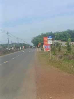Hụt vốn kinh doanh - Cần bán gấp 5 sào (5.250M2) đất nhà gần KCN BECAMEX
