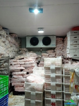 Lắp đặt kho lạnh bảo quản thịt gà công nghiệp
