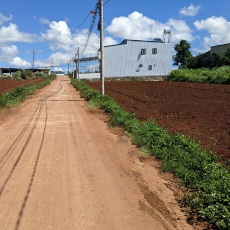 Bán Đất Bồng Lai 800 Triệu 5x23m DT 115m2 Thổ cư 75m2 Đạ Ròn -  Đơn Dương - Lâm Đồng