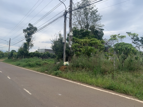 Bán lô đất 2900m2 MT Phùng Hưng,Bảo Lộc,Lâm Đồng