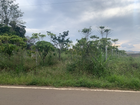 Bán lô đất 2900m2 MT Phùng Hưng,Bảo Lộc,Lâm Đồng